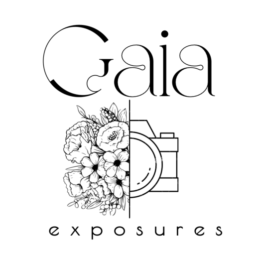 Gaia Exposures