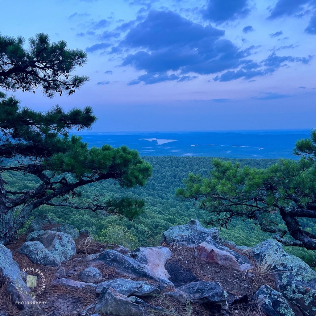 The Natural State –&nbsp;Arkansas